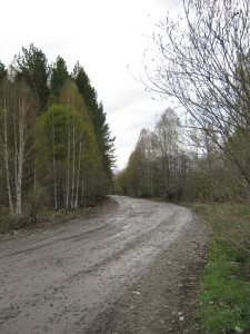 лесные дороги