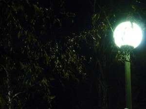 уличные фонари